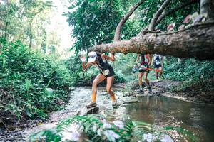 BIB: 
                            <button type="button" onclick="openModal(25435021)" class="btn btn-primary btn-sm float-right btn-popup" data-toggle="modal" data-target=".modal-high-quality">
                        <i class="fas fa-shopping-cart"></i> Add to Cart
                    </button>
                                            <button type="button" onclick="isThisMe(25435021, true)" class="btn btn-success btn-sm float-right btn-popup btn-isme hidden" data-toggle="tooltip" data-placement="bottom" title="นี่คือรูปของคุณใช่ไหม คลิกที่นี่เพื่อเอาเข้าอัลบั้ม">
                        <i class="fas fa-plus"></i> Add to album
                    </button>
                    <button type="button" onclick="isThisMe(25435021, false)" class="btn btn-warning btn-sm float-right btn-popup btn-isnotme hidden">
                        <i class="fas fa-ban"></i> Remove from album
                    </button>